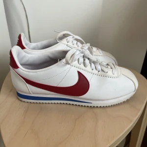Nike Sneaker - Storlek 37.5, små i storleken då dem är smala men jag är vanligt en 37. Sparsamt använda