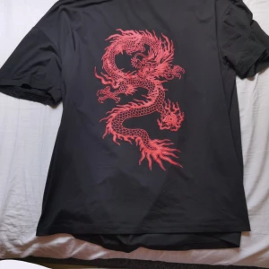 Drake oversized t-shirt  - Otroligt skön, vacker och är oversized. Storlek: S Leverans är ej räknad med i priset. 