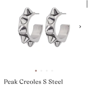 Edblad örhängen  - Edblad örhängen som inte kommer till användning. Tvättas såklart innan köp 