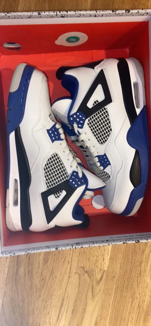 Jordan 4 retro motorsport  - Behövs för vintern