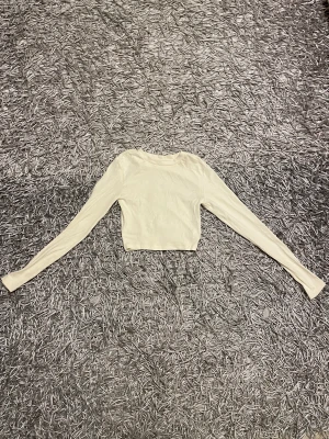 Zara topp - Typ aldrig använd eftersom den är lite för liten för mig. Världens skönaste material, lite kortare i modellen skit snygg till ett par lågmidjade jeans! 