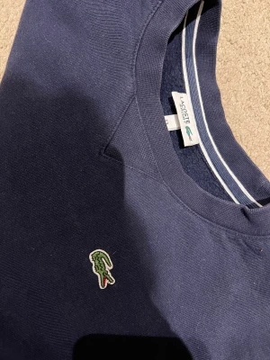 Tröja långarmad  - Fin långarmad Lacostetröja.