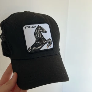 goorin Bros keps - intressekoll på min jätte fina goorin Bros keps med trycket ”stallion”💞 köpt för 429💞inga defekter alls