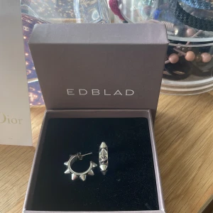 Edbladörhängen  - Edbladörhängen med nitar i jättefint skick, knappt använda. Orginalasken ingår och jag säljer två exemplar. Nypris 350kr 💓💗