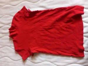 T-shirt - Jättesnygg rinbad T-shirt med en liten krage! Har ett tryck på baksidan under kragen. 