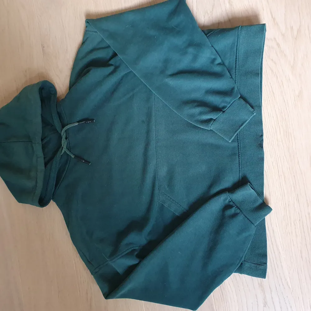 superfin grön hoodie från zara, säljer pga att den är för liten💗 obs spegeln är smutsig. Hoodies.