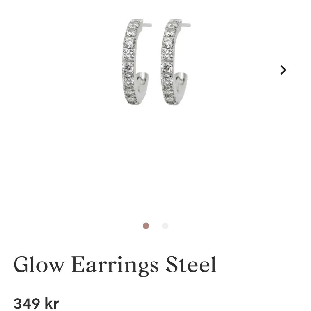 Säljer dessa jätte fina örhängen från Edblad. Aldrig använda.  Nypris: 349kr. Accessoarer.