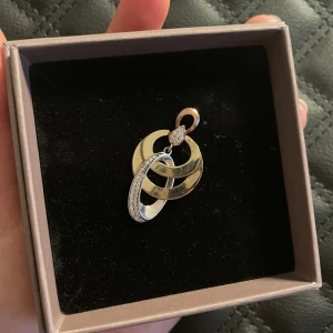 Berlock för ett halsband  - En guldig berlock som inte kommer till användning. 