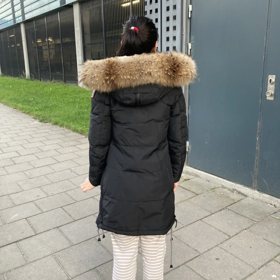 Parajumper longbear  - 91