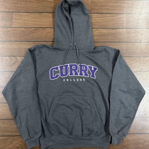 Champion Curry College - Snygg vintage champion Hoodie i storlek L! Bara att skriva om du undrar över något🙏