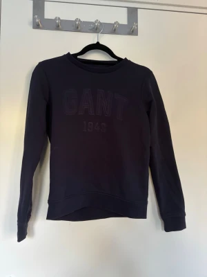 Sweatshirt  - Fin sweatshirt i ett mycket bra skick 