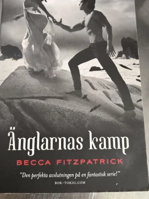 Änglarnas kamp av Becca Fitzpatrick - Bok med titeln 'Änglarnas kamp' av Becca Fitzpatrick. Omslaget är svartvitt och visar två personer på en klippa, en kvinna i klänning och en man utan tröja. Boken är en del av en populär serie och har ett dramatiskt och fantasifullt omslag.