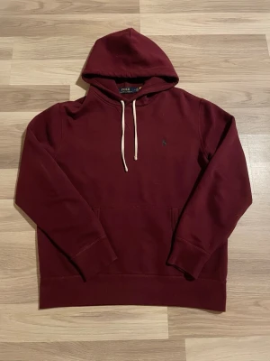 Ralph lauren hoodie - 8.5/10 Skick | M | Nypris 2099kr Mitt pris 749kr | Hör av dig vid funderingar!