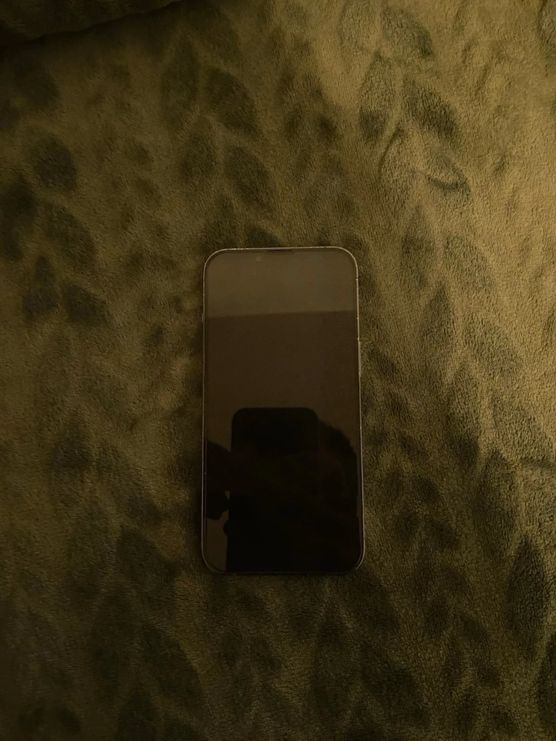 iPhone 13 Pro  - 1