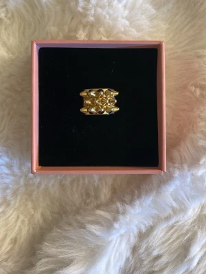 Edblad ring🤍 - En jätte fin ring med nitar ifrån Edblad! Har dock använt den väldigt mycket men den ser fortfarande jätte fräsch ut!🤍🤍