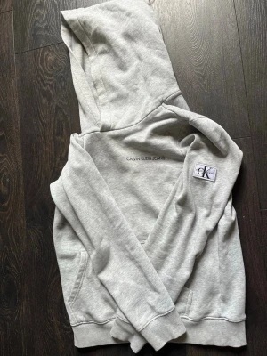 Grå hoodie från Calvin Klein Jeans - Snygg ljusgrå hoodie från Calvin Klein Jeans med broderad logga på bröstet och en patch med CK-märke på ärmen. Klassisk huva och känguruficka framtill. Tillverkad i mjukt sweatshirtmaterial som är perfekt för chill dagar.