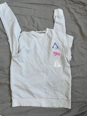 Ljusgrå sweatshirt med tryck - Säljer en ljusgrå sweatshirt med unika tryck på bröstet och en stor grafisk design på ryggen med texten 'Dion' och isbergsmotiv. Tröjan har rund hals, långa ärmar och ribbade muddar. Perfekt för dig som gillar streetwear och coola prints.