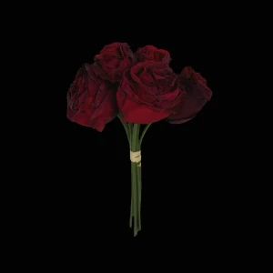 Rose Bouquet (+Gift) - A bouquet of 8 artificial roses in a gorgeous deep burgundy color! 🥀⚔️In great condition as they’ve only been on display in a glass cabinet ✨Each rose is between 21-24cm tall 📏You also get a matching black vase as a free gift with purchase!! 🫶🏻