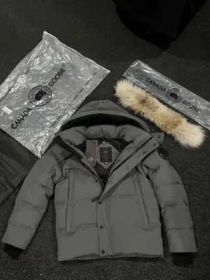 Grå dunjacka från Canada Goose - Säljer en grå dunjacka från Canada Goose med avtagbar pälskant på huvan, äkta päls. Jackan har dragkedja och knappar framtill, två stora fickor och ribbade muddar vid ärmsluten. Perfekt för kalla vinterdagar och riktigt varm tack vare dunfyllningen.