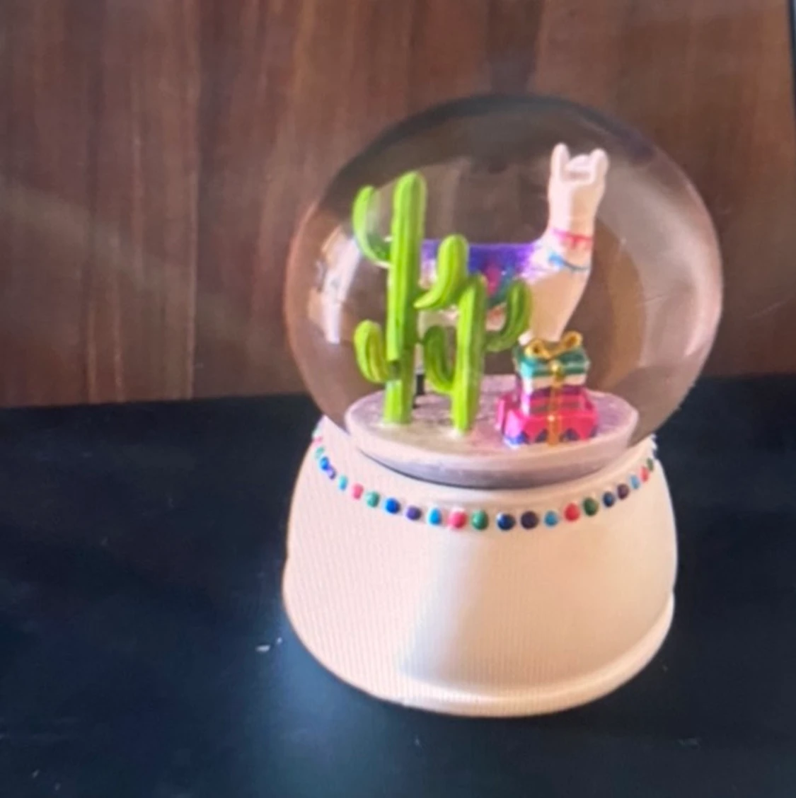 Glaskula kaktus 🌵 paket 📦 åsna 