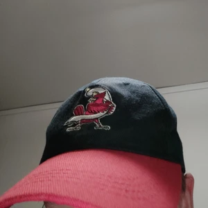 Keps - En rödblå keps med en mäktig fågel på. Kepsen köptes för 350 från början. Skriv om du undrar nåt elr om du är sugen på att köpa den:))