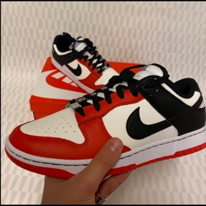 Dunks  - Helt nya! Kvitto finns! Storlek 42,5 