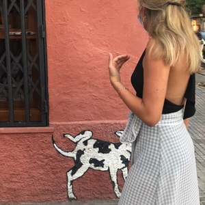 Lång omlottkjol  - Säljer denna jättefina rutiga omlottkjol från Line of Oslo. Den är ganska genomskinlig med en insydd underkjol. Storlek XS. 