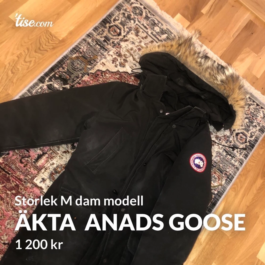 Canada Goose jacka Dam modell, storlek M