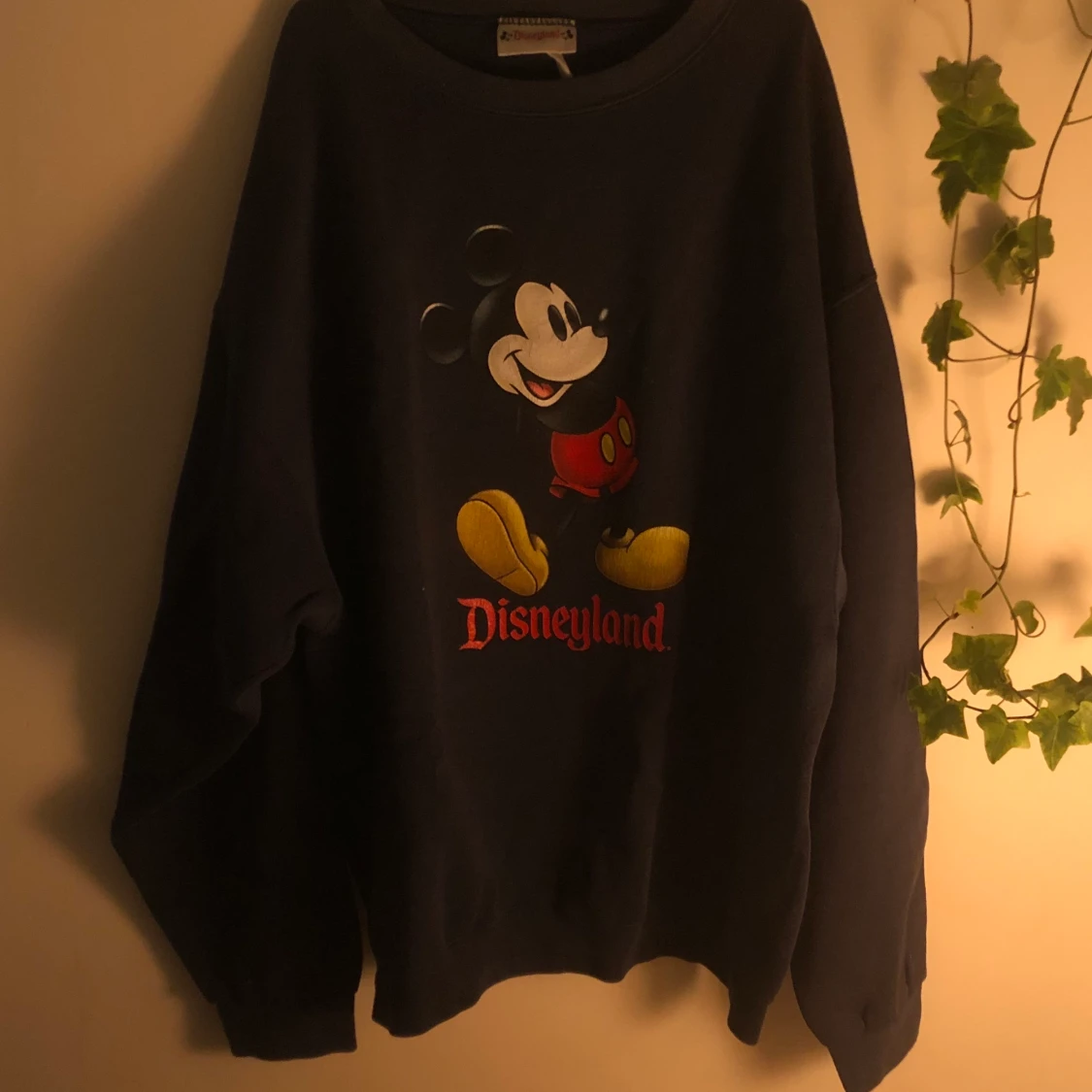 marinblå disney jumper!