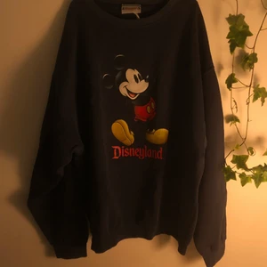 marinblå disney jumper! - supergullig vintage oversized marinblå disneyland sweater/jumper köpt secondhand på beyond retro!! sitter fint, oversized och mysigt på mig som är en s/m,  inga defekter men har en mer använd känsla till sig:) 