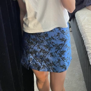 Kjol från zarq - Från zara, dne har en slit, köparen står för frakten