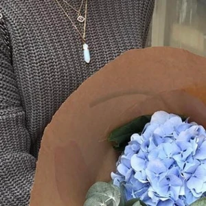 Halsband - Hej, jag säljer ett halsband för 250kr inkl spårbarfrakt.