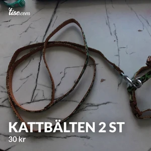 Katt bälten - För små för mina katter nu. Men användes ungefär 5 gånger. 1 st för 30 kr. 