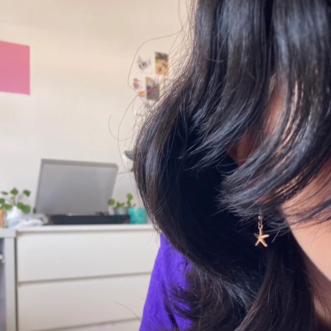 Örhängen (sjöstjärnor) - 90