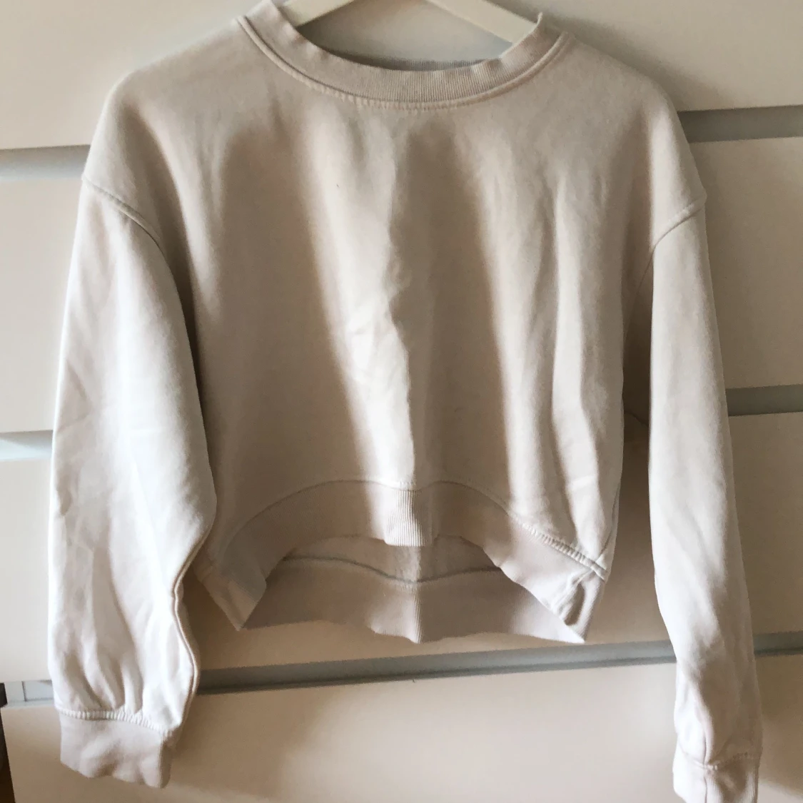 Zara sweatshirts 