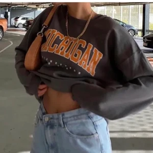 Michigan - Fin sweater michigan, stl S/34 knappt använd. Skulle säga att den är ljusare i färgen än på bilderna. Köparen står för frakt 