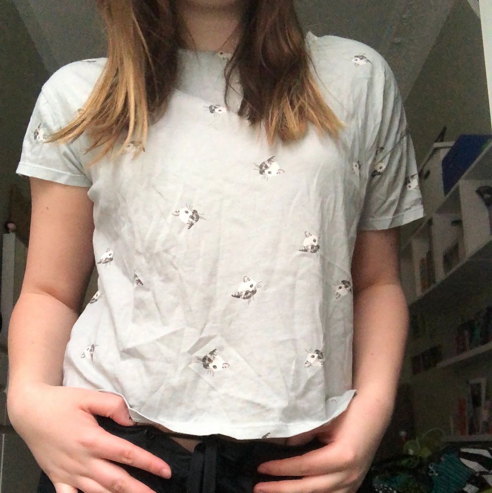 Söt ljusblå T-shirt med katter på :)! Stor i storlek så passar även M ! köparen står för frakten men möter annars upp på söder eller tc🌟:). T-shirts.