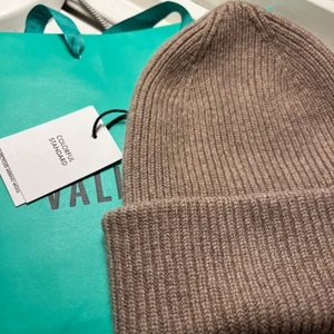 Mössa - Helt ny mössa i en jätte fin brun beige mössa köpt från vallgatan 12 i göteborg. Nypris 400kr. Sitter jättefint. Men kommer tyvärr inte till användning för mig då jag har månag andra mössor. Mitt pris 200kr. Kan även skicka med påsen om det önskas.