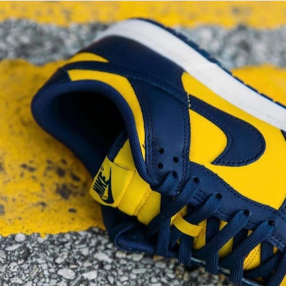 Nike Dunk Low Michigan  - 90