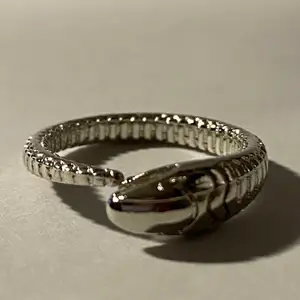 Silverring i form av en orm.