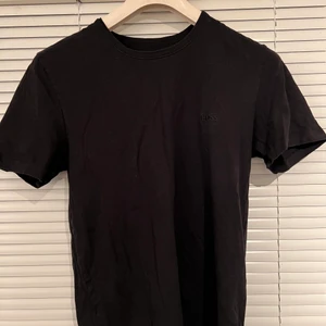 S - Djur finns i hem