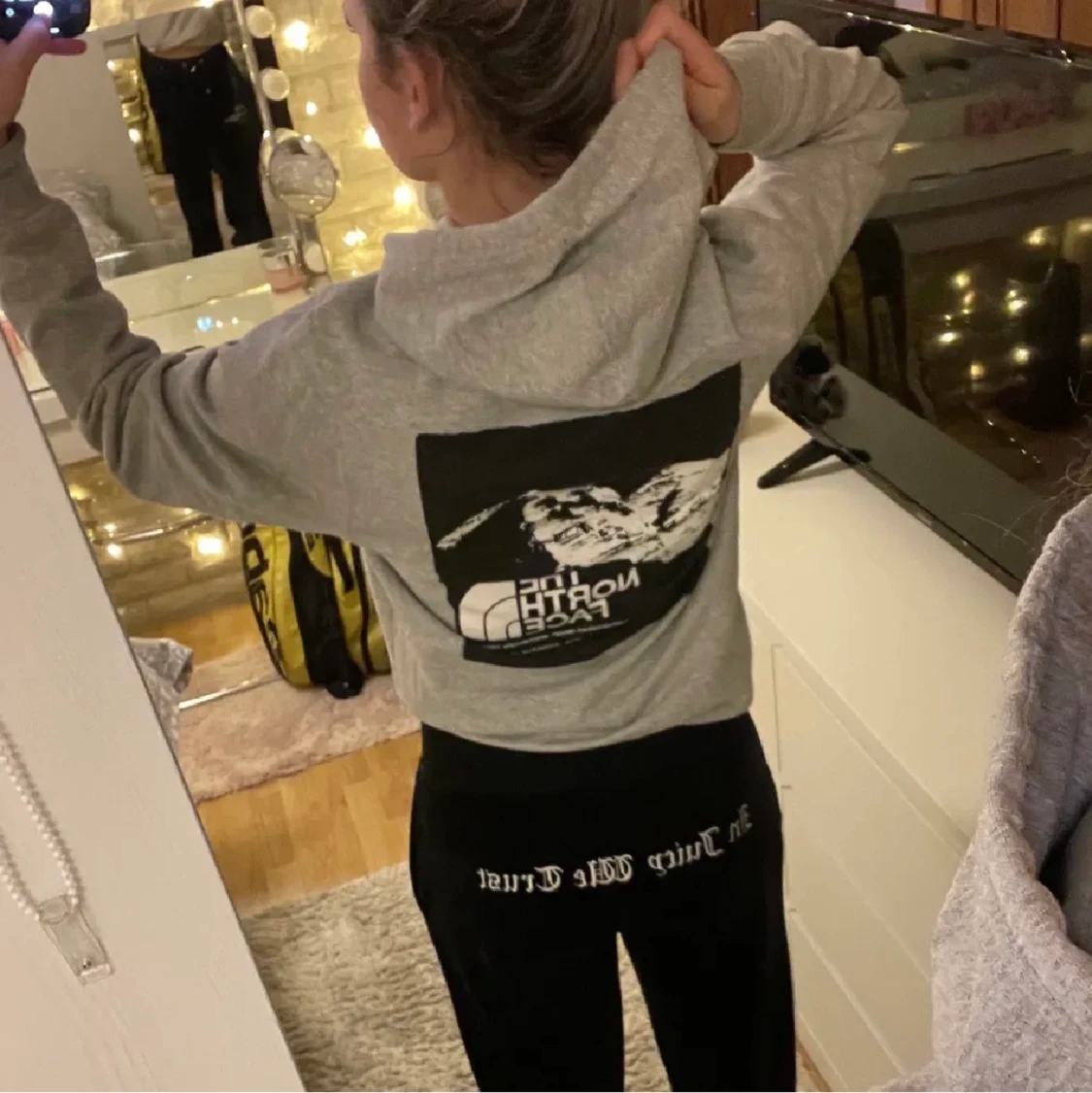 The north face hoodie 