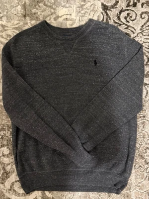 Mörkgrå tröja från Polo Ralph Lauren - Mörkgrå långärmad tröja från Polo Ralph Lauren med diskret broderad logga på bröstet. Tröjan har rund halsringning och ribbade muddar vid ärmslut och nederkant. Perfekt för en clean och stilren look.