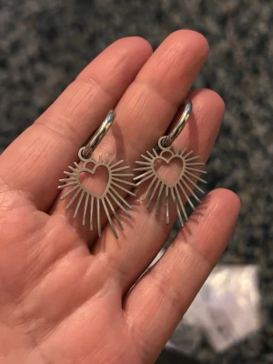 Stål Silvriga örhängen med hjärtform - silvriga örhängen med hjärtformad design och strålande solstrålar runt hjärtat. Örhängena har en modern och edgy look, perfekta för att lyfta vilken outfit som helst. Materialet är metall i silverfärg och de har en rund ring som fäste.