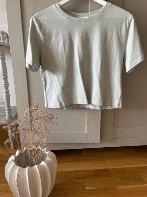 Ljusgrön croppad t-shirt f - Enkel och stilren ljusgrön t-shirt från 157. Modellen är croppad med korta ärmar och rund halsringning. Tillverkad i 100% bomull för en mjuk och skön känsla. Perfekt att matcha med jeans eller kjol för en avslappnad look.