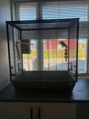 Två  bur fågel med tillbehör - Säljer 2 jättefina och sociala fåglar tillsammans med allt tillbehör. Jag köpte allt för cirka 3500 kr men säljer nu för endast 2000 kr. Pris kan diskuteras vid snabb affär!  Det som ingår: • 2 fåglar • Stor bur • Fågelbo • Liten trappa • Leksaker • Vitamin droppar • Mat till fåglarna  Fåglarna är lugna, aktiva och passar bra för både barn och vuxna som älskar djur. Perfekt för någon som vill börja med fåglar direkt eftersom allt man behöver ingår.  Köper ni inom 1 vecka får ni rabatt!!