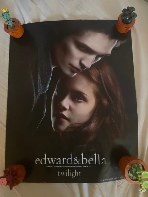 Twilight poster - Skicka gärna prisförslag!!