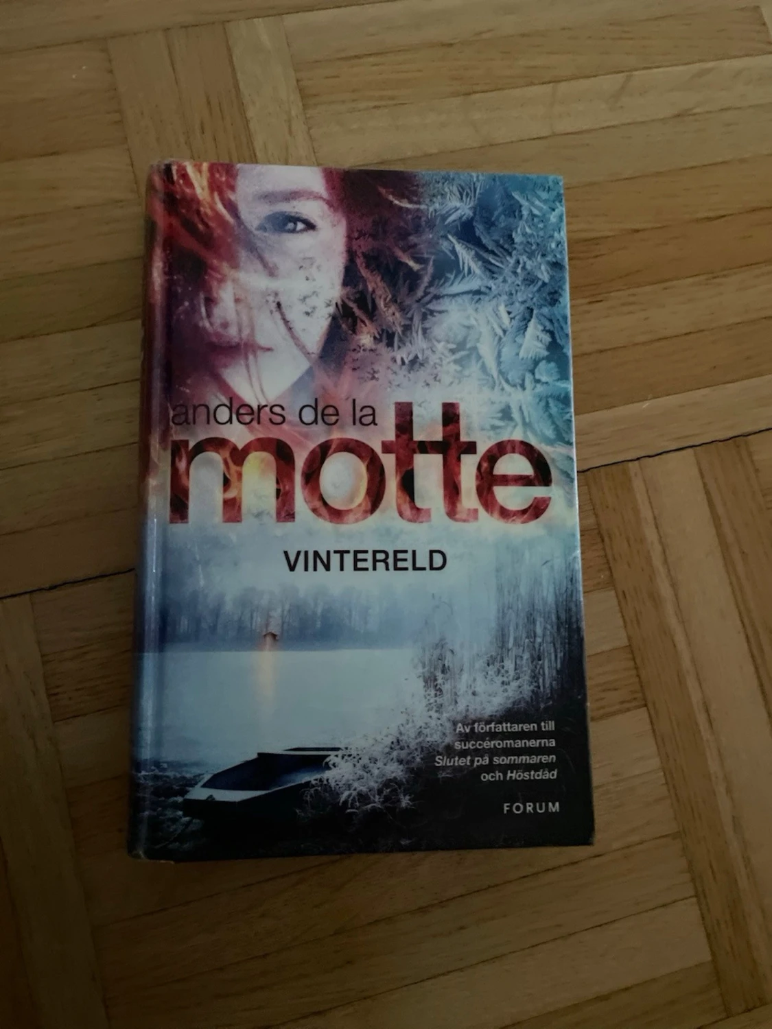 Vintereld av Anders de la Motte