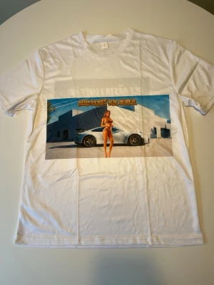 Vit t-shirt med tryck och text -   HAR 14 stycken Vit t-shirt med färgglatt tryck framtill som visar en kvinna framför en bil och texten 'NEED MONEY FOR HO*OR'. På ryggen finns en stor svart ruta med vit text: 'DET BÄSTA I LIVET ÄR: H*ROR, HO*OR, HOR*R'. Klassisk passform och rund hals.
