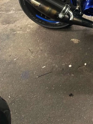 Yasuni R liggande minareli  - Säljer ett svart sportavgassystem till moped med kolfiberlook och metalliska detaljer. Passar till bakhjulet på en sportig moped, och har blåa dekorränder på fälgen. Perfekt för dig som vill ha snyggare ljud och utseende.